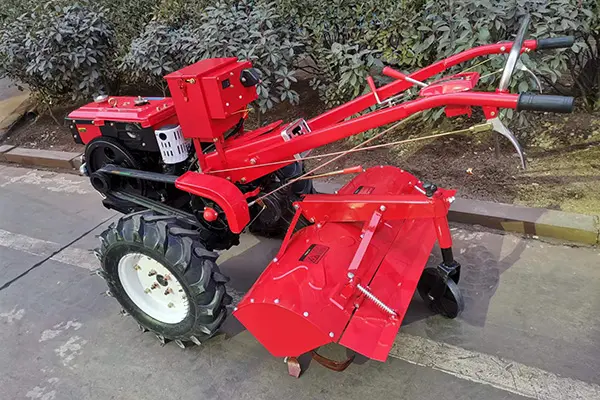 Structure and adaptability 1