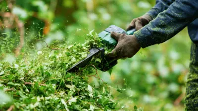 Ultimate Guide to Effectively Using Your Weed Shredder for Garden Maintenance