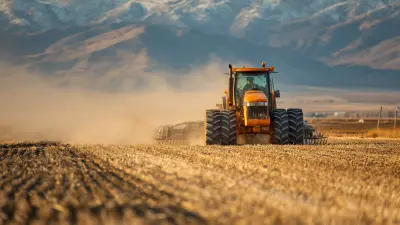 Ridging Plough Versus Traditional Ploughing Techniques A Comprehensive Industry Analysis