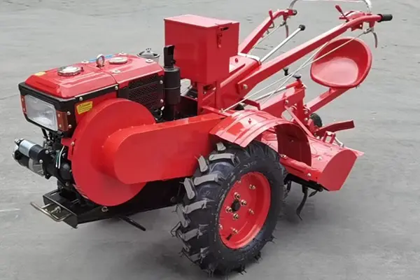 Structure and adaptability 2